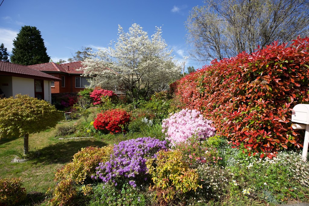 Three Sisters Garden Cottage | 64 Darley St, Katoomba NSW 2780, Australia | Phone: 0421 748 401