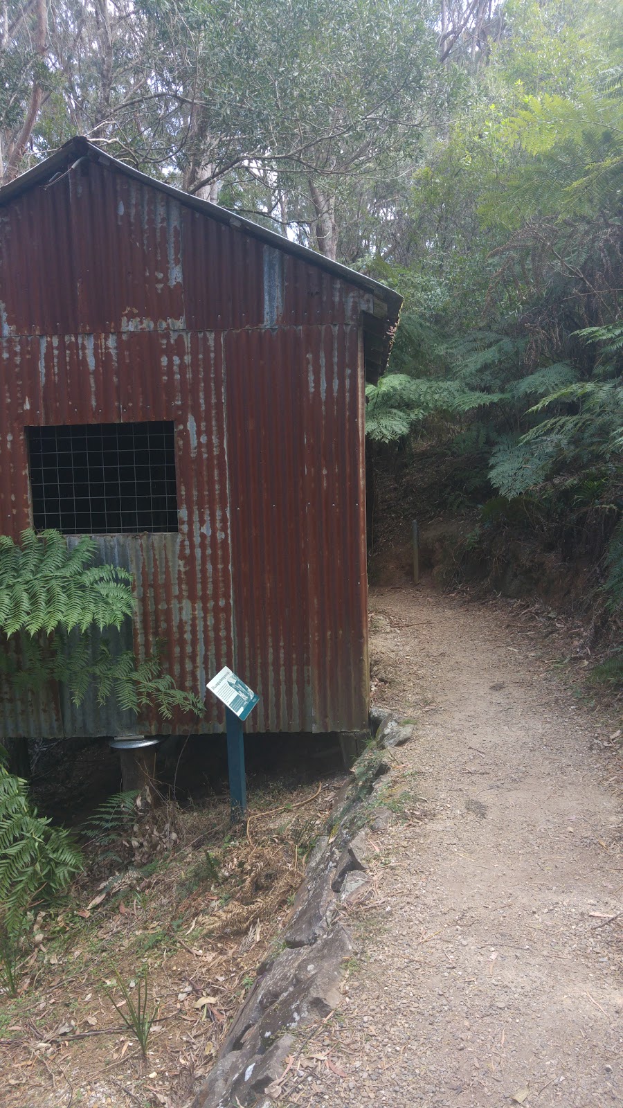 The Settlement Camping Area | Carricks Rd, Springbrook QLD 4213, Australia | Phone: 13 74 68