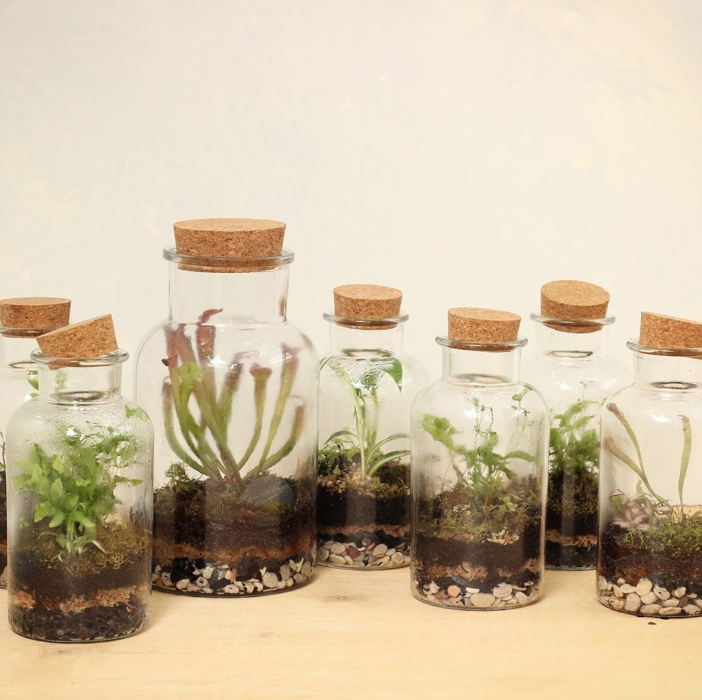 Earth Terrariums by tablespoon of earth | park | 8 Rowen Ct, Cranbourne North VIC 3977, Australia | 0414483876 OR +61 414 483 876