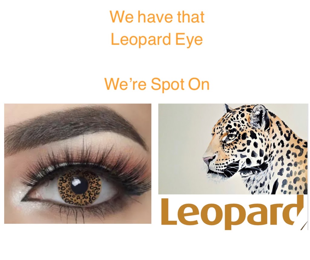 Leopard Cleaning Services | 8 Wray St, North Batemans Bay NSW 2536, Australia | Phone: 0404 678 467