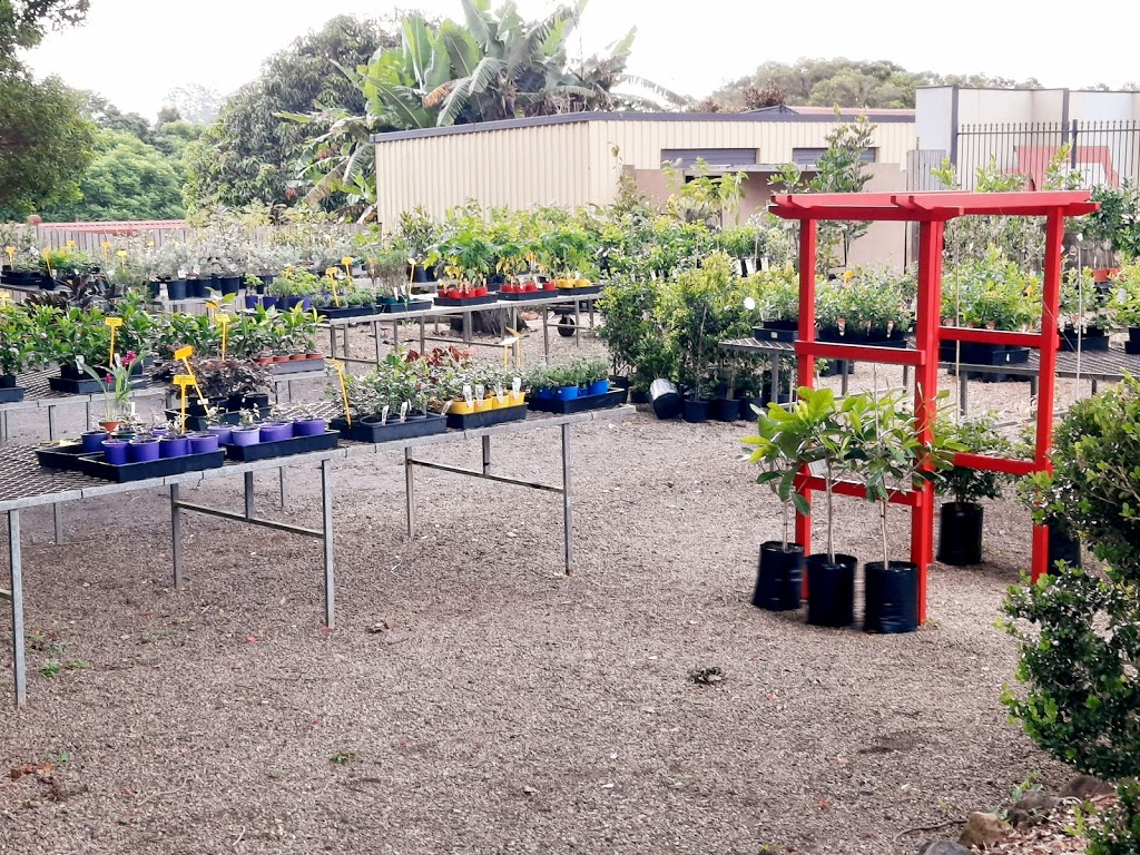 The Garden Shed Nursery |  | 342 Flaxton Dr, Flaxton QLD 4560, Australia | 0401541962 OR +61 401 541 962