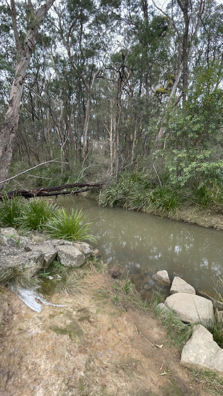 Nattai Ponds Playground | Isedale Rd, Braemar NSW 2575, Australia | Phone: (02) 4868 0888