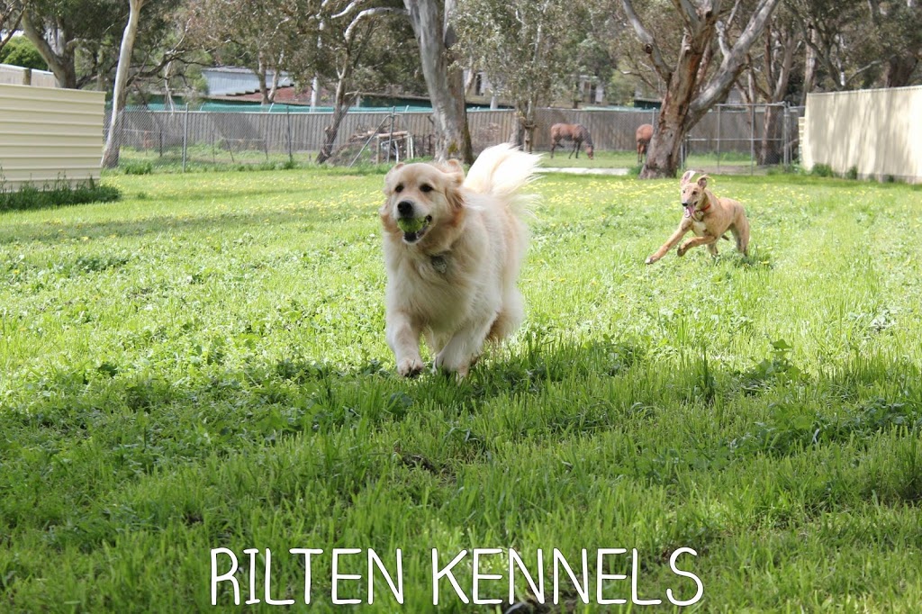 Rilten Kennels | 80-94 Ashley Rd, Yarrambat VIC 3091, Australia | Phone: (03) 9436 1494