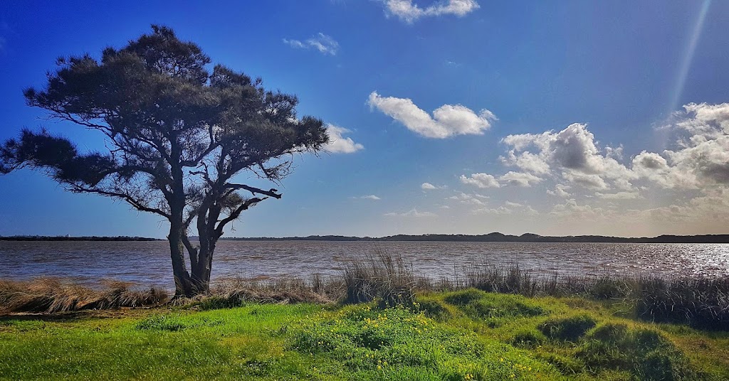 Leschenault Waterways Discovery Centre & Jetty Walk | 187 Old Coast Rd, Australind WA 6233, Australia | Phone: (08) 9796 0122