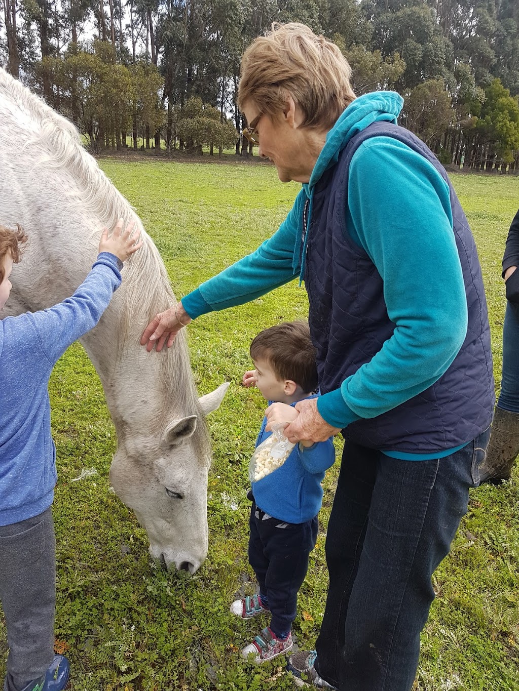 Greener Pastures Sanctuary | park | 33 Wealand Rd, Waroona WA 6215, Australia