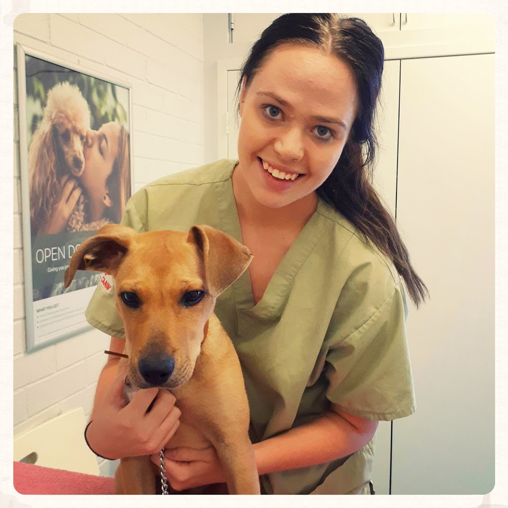 Sage Vets - Booragoon Vet | veterinary care | 8/70 Norma Rd, Booragoon WA 6154, Australia | 0893301665 OR +61 8 9330 1665