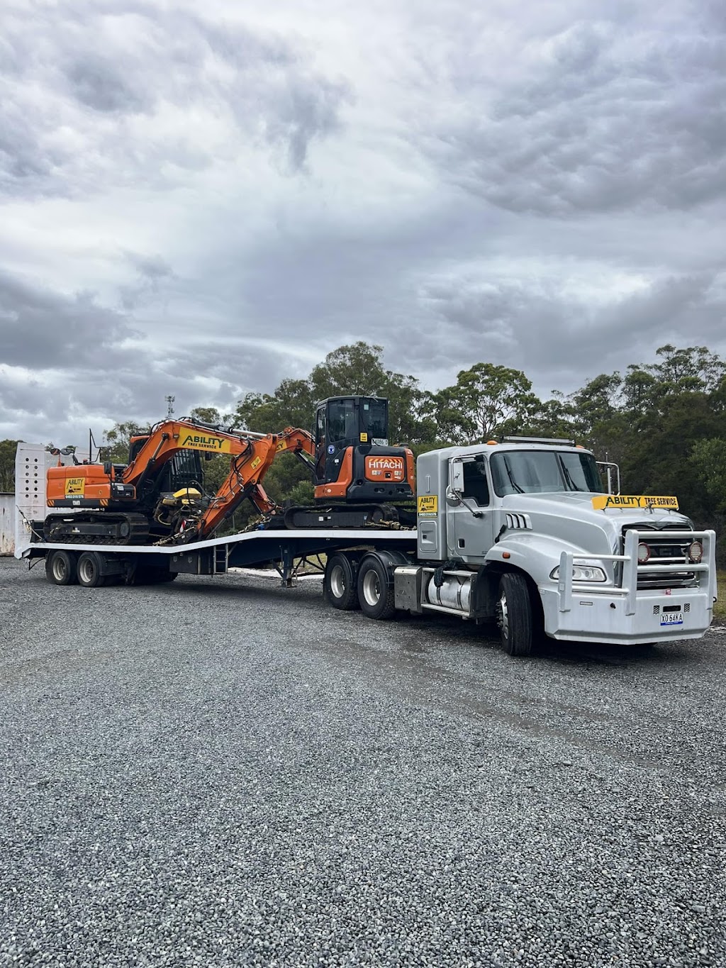 Ability Tree Service | 23 Wards Rd, Darawank NSW 2428, Australia | Phone: 0403 316 576
