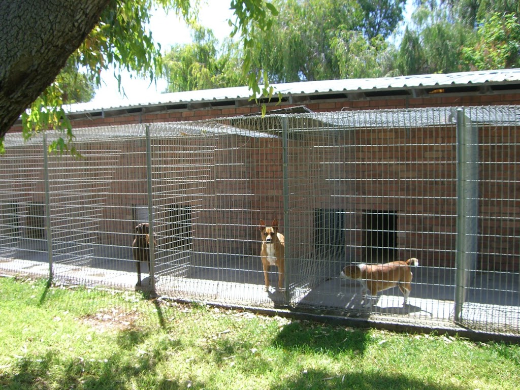 Camelot Pet Resort | veterinary care | 1881 Mandurah Rd, Karnup WA 6176, Australia | 0895241050 OR +61 8 9524 1050
