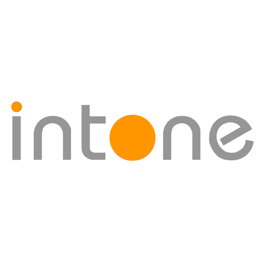 Intone Websites & Marketing | 6 Olivevale St, Ormeau QLD 4208, Australia | Phone: 0490 186 044