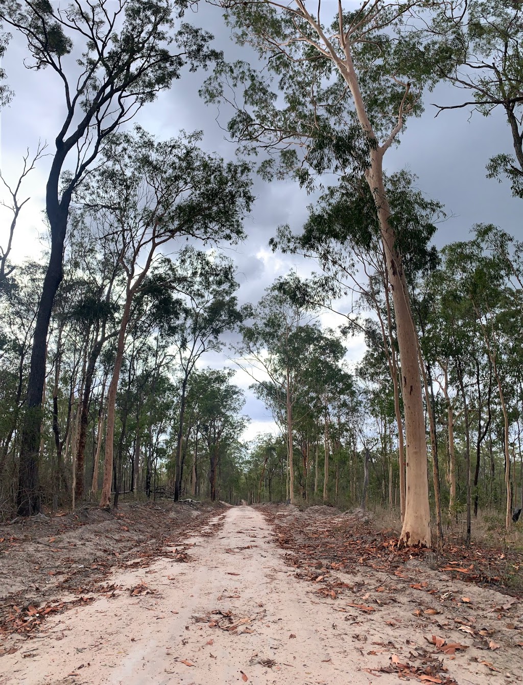 Hurdle Gully Lookout | Coominglah Forest, Coominglah QLD 4630, Australia | Phone: 13 74 68