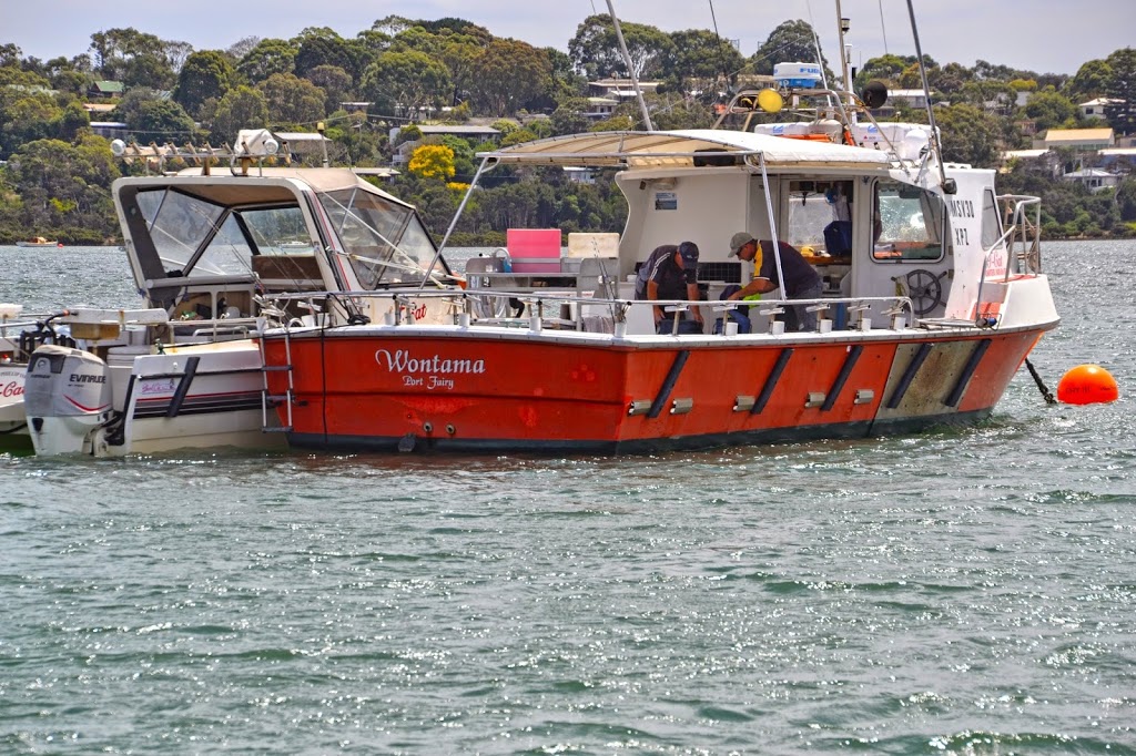 T-Cat Charters | Phillip Island, Beach Rd, Rhyll VIC 3922, Australia | Phone: 0409 504 974