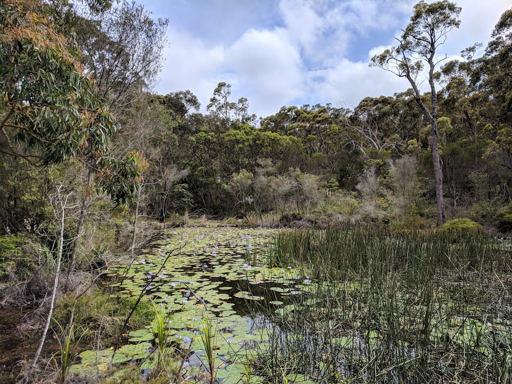 Granmas Refuge | 4 Tumburra St, Ingleside NSW 2101, Australia | Phone: (02) 9986 3339