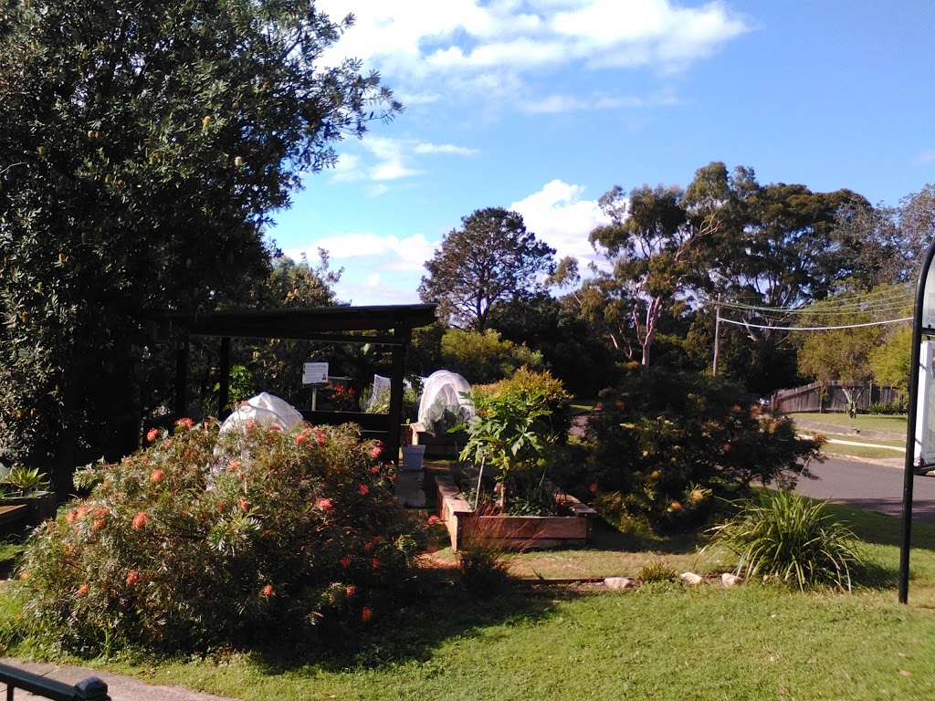 Baringa Bush Community Garden Seaforth | park | opposite, 61 Baranbali Ave, Seaforth NSW 2092, Australia