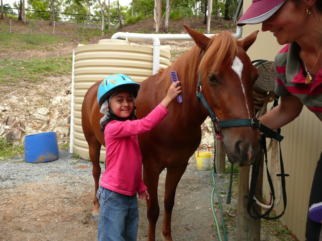 Horse Riding Hub - Beginner Horse Rider Education Specialist | 99 Aylesham Dr, Bonogin QLD 4213, Australia | Phone: (07) 5667 7468