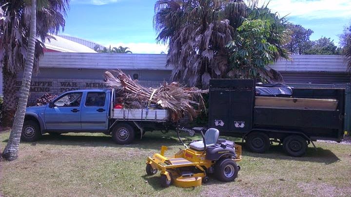 Ivy Meis Mowing and Garden Care | 26 Cotton St, Shorncliffe QLD 4017, Australia | Phone: 0400 896 247