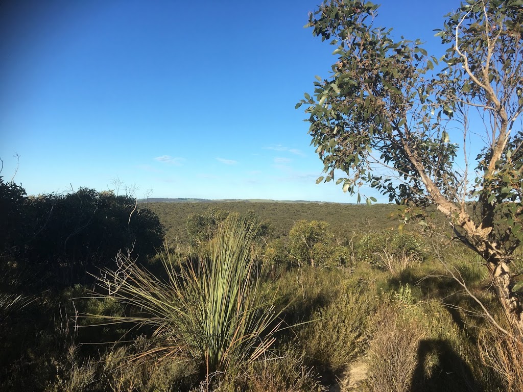 Cox Scrub Conservation Park | park | Bull Creek Rd, Ashbourne SA 5157, Australia