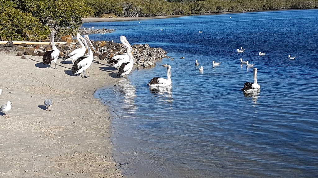 Lioness Park (Pelican Park) | park | Hawks Nest NSW 2324, Australia