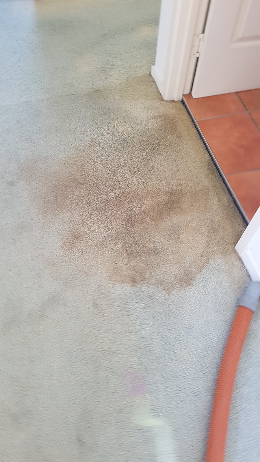 Protech Carpet Cleaning | 4 The Esplanade, Burleigh Heads QLD 4220, Australia | Phone: 0404 008 318