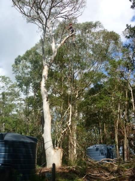 South Coast Tree Services | park | 68 Fremantle Rd, Port Noarlunga South SA 5167, Australia | 0402685068 OR +61 402 685 068