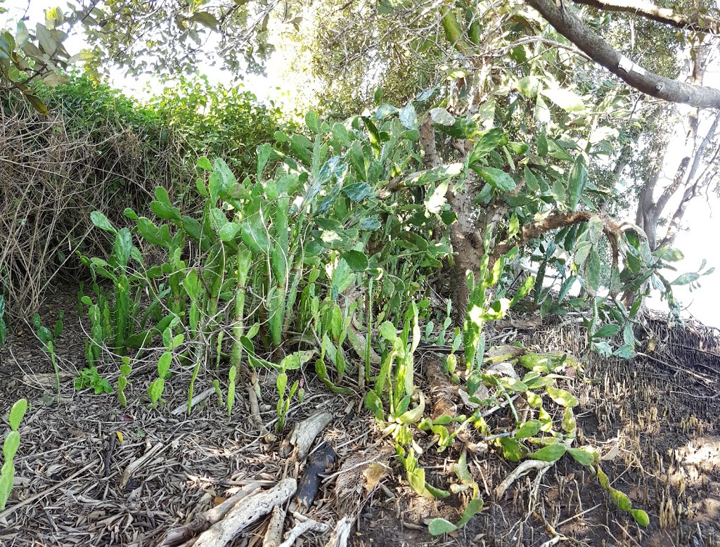 All Purpose Self Storage | 1 Foresight Ave, Tomago NSW 2322, Australia | Phone: (02) 4964 8881