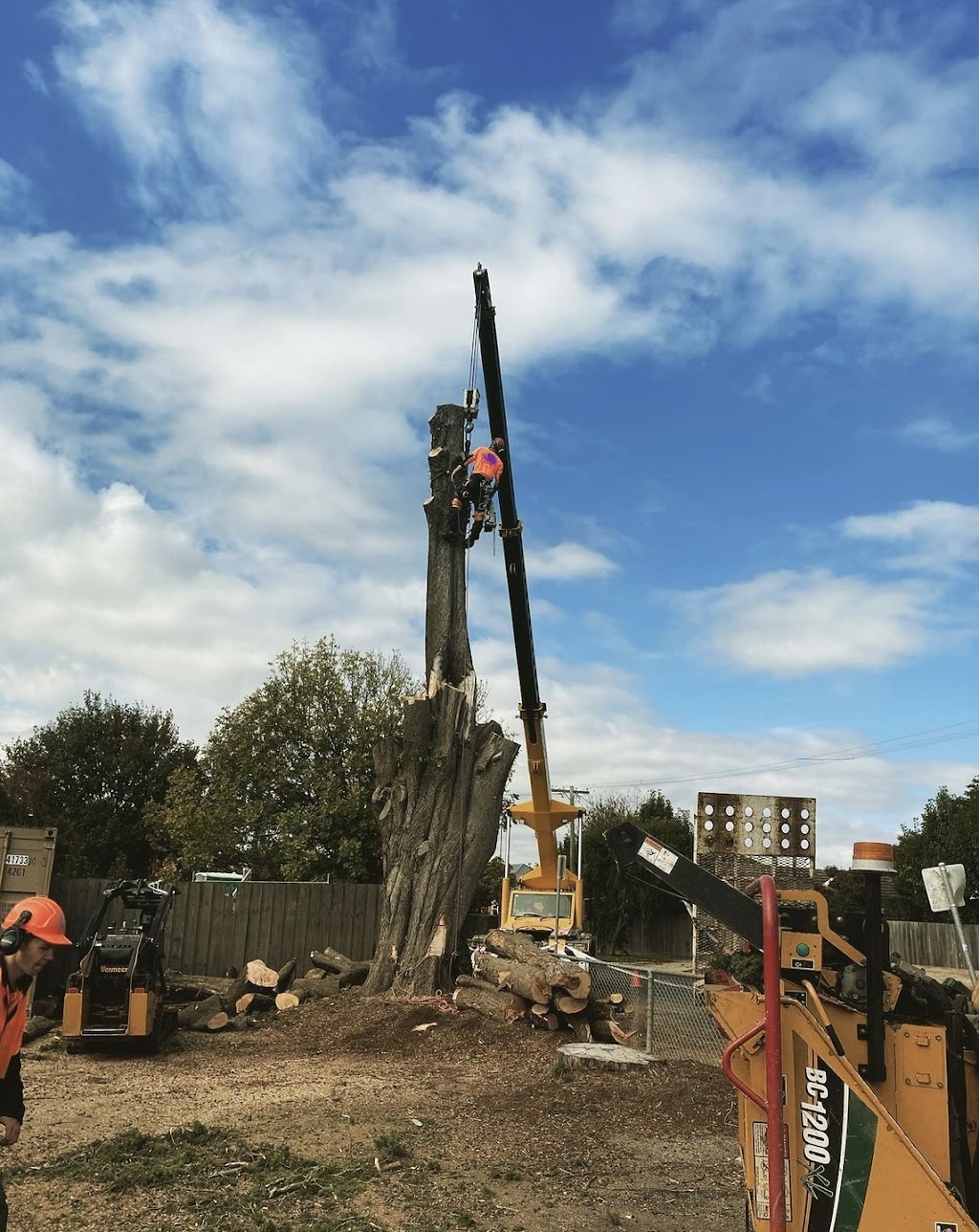 Big Timber Tree Care | 123 High St, Taradale VIC 3447, Australia | Phone: 0488 031 716