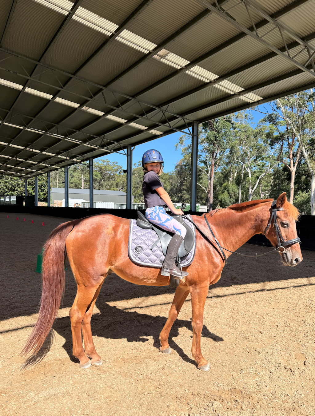 Ghostwood Equestrian Riding School | 10 Winnunga Rd, Dural NSW 2158, Australia | Phone: 0422 151 678