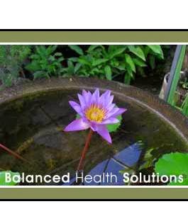 Balanced Health Adelaide | 6 Glenburnie St, Happy Valley SA 5159, Australia | Phone: 0437 764 540