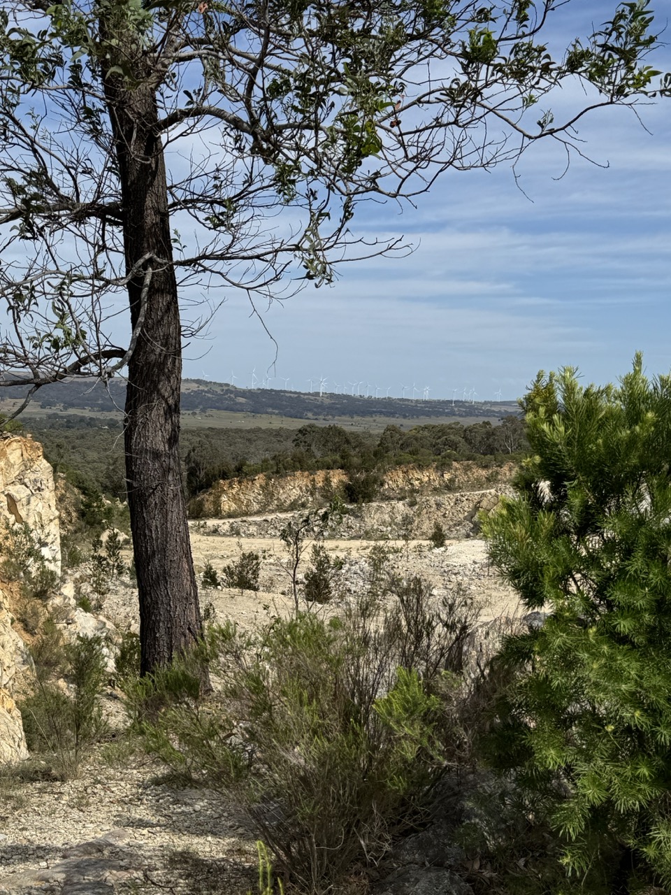 Irwin Environmental Management | 85 Pippin Way, Orange NSW 2800, Australia | Phone: 0412 107 657