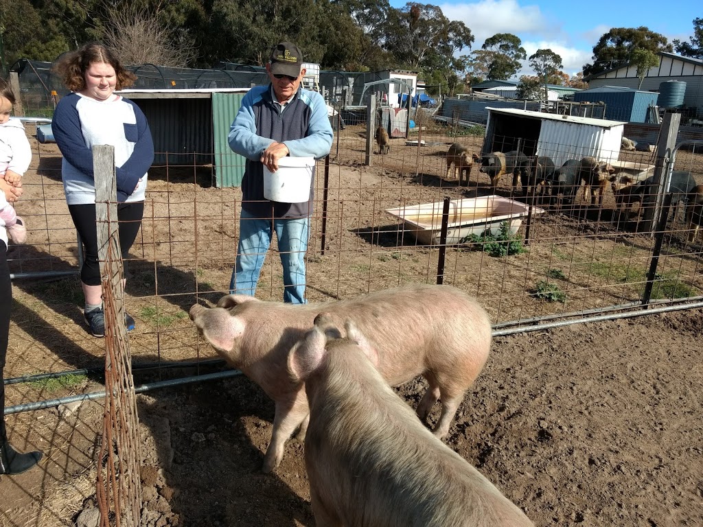 Happy Pig Farm | cafe | 32 Cameron Rd, Stanthorpe QLD 4380, Australia | 0411988415 OR +61 411 988 415