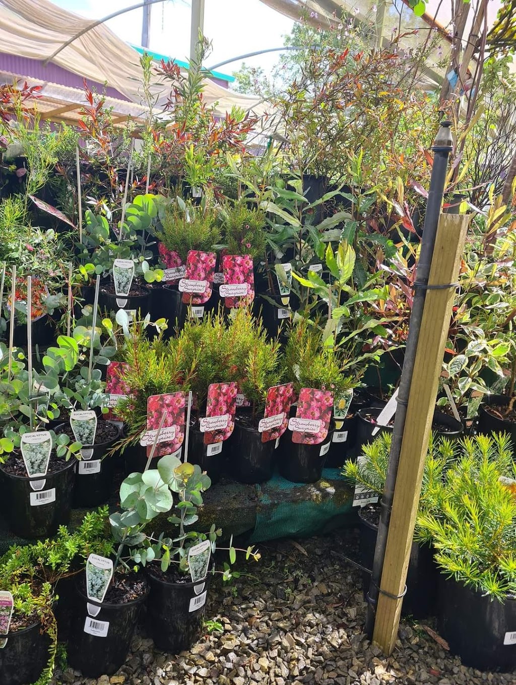 Treenas Garden Supplies |  | 57 Scotchtown Rd, Smithton TAS 7330, Australia | 0364522760 OR +61 3 6452 2760