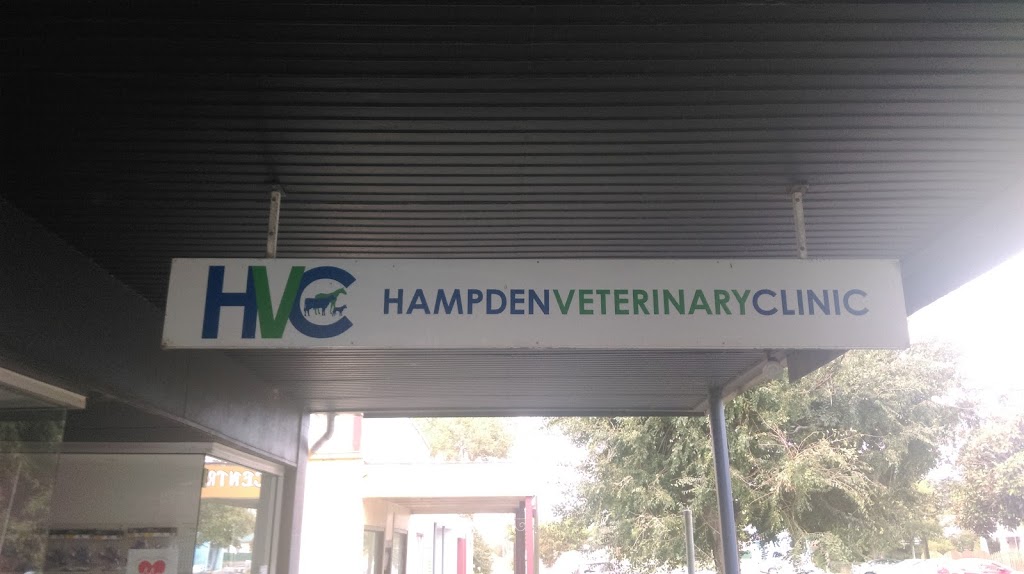 Hampden Veterinary Clinic | veterinary care | 22 Curdie St, Cobden VIC 3266, Australia | 0355951100 OR +61 3 5595 1100