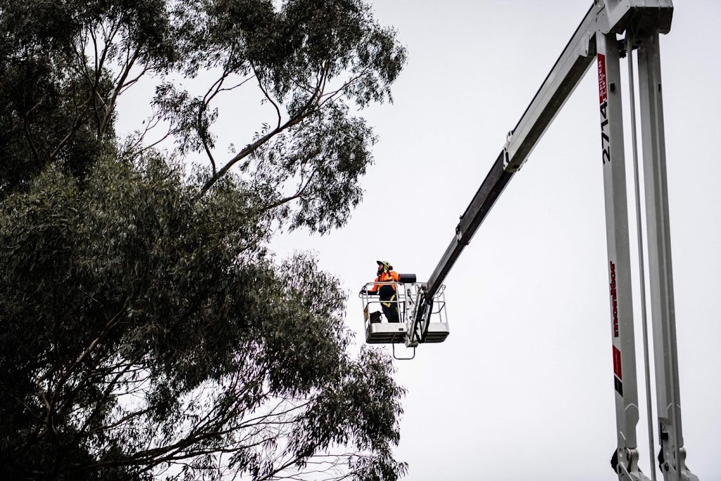 Tricky Tree Works |  | 76 Simons Ln, Leongatha South VIC 3953, Australia | 0407743895 OR +61 407 743 895