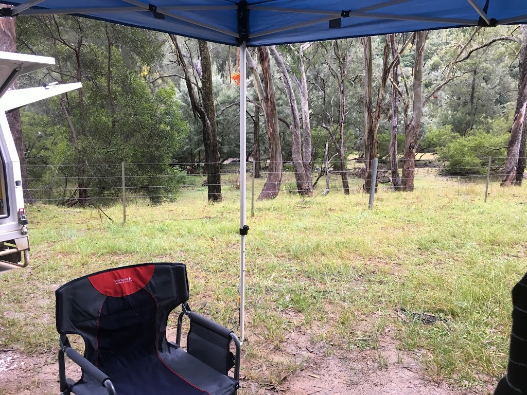 Dalmorton campground | Chaelundi Road, Dalmorton NSW 2460, Australia | Phone: (02) 6657 2309