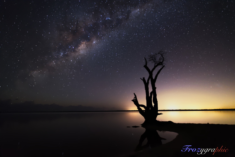 Frozigraphie nature photography | 19a Hessen Pl, Ringtail Creek QLD 4565, Australia | Phone: 0411 722 521