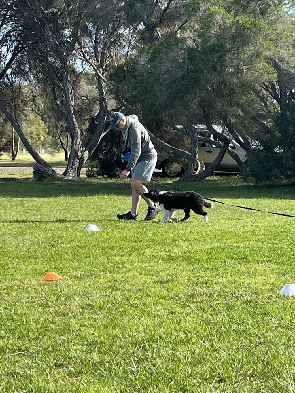 The Surf Coast Dog Trainer | 1430 Surf Coast Hwy, Torquay VIC 3228, Australia | Phone: 0402 225 860