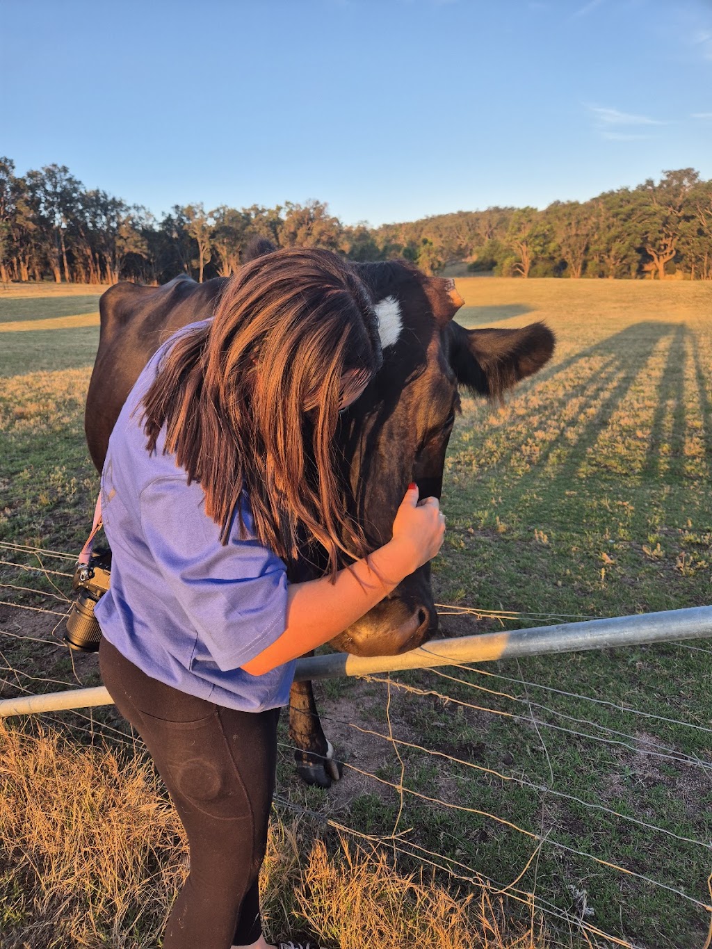 Mudgee & Beyond | 772 Black Springs Rd, Budgee Budgee NSW 2850, Australia | Phone: 0414 475 610