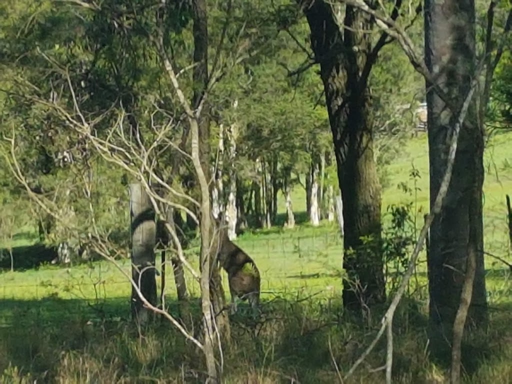 Werakata National Park | Lovedale NSW 2325, Australia | Phone: (02) 6574 5555