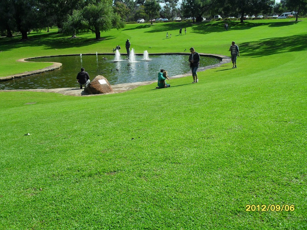 Kings Park and Botanic Garden | park | Fraser Ave, Perth WA 6005, Australia | 0894803600 OR +61 8 9480 3600