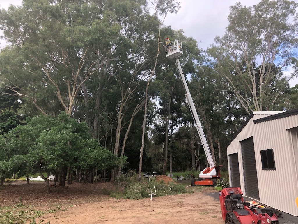 Geoffs Tree Lopping Hervey Bay | 3 Namwen Ct, Pialba QLD 4655, Australia | Phone: 0409 412 870