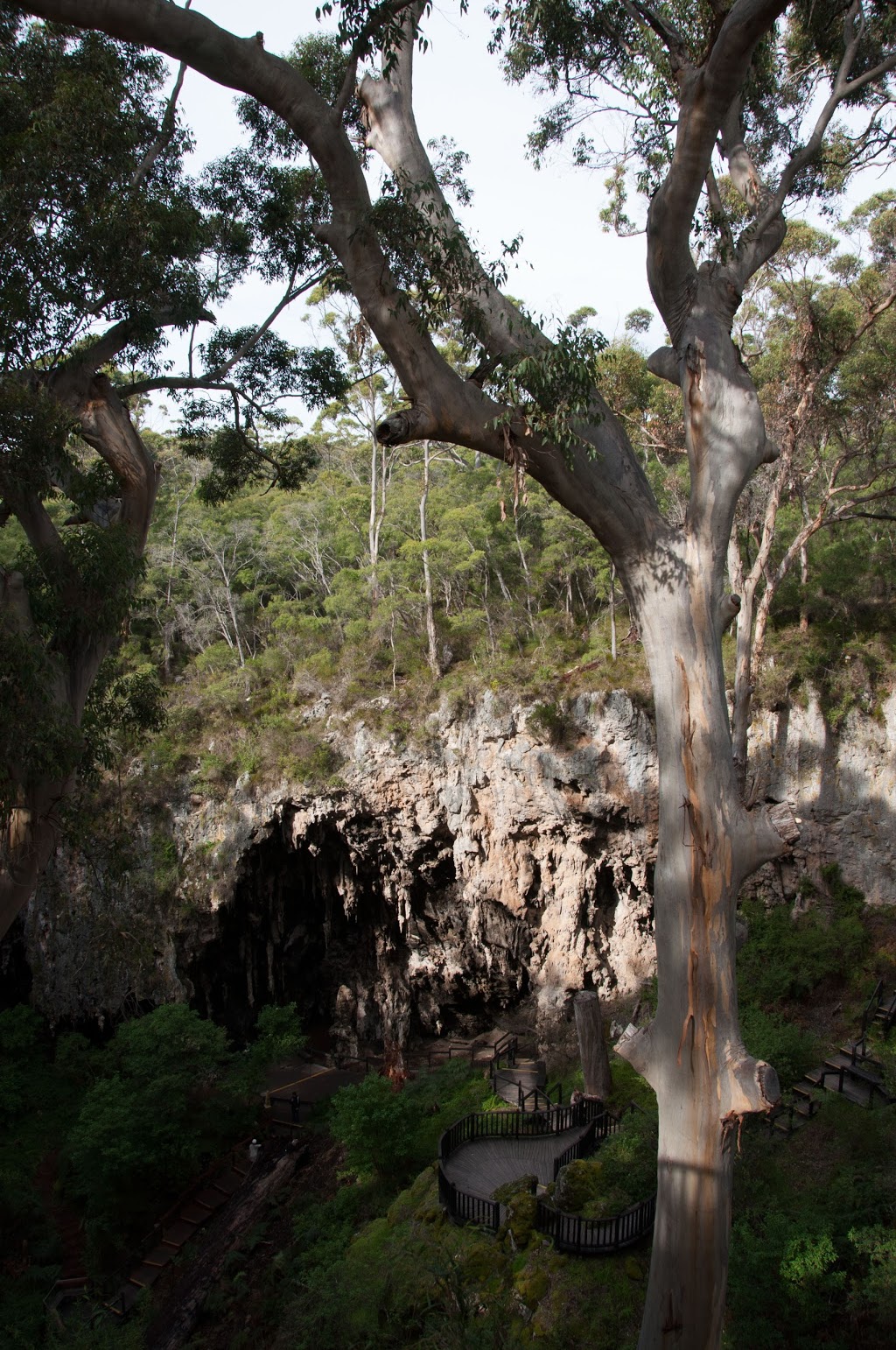 Lake Cave Mammoth Cave Nature Reserve | park | 40 Conto Rd, Boranup WA 6286, Australia