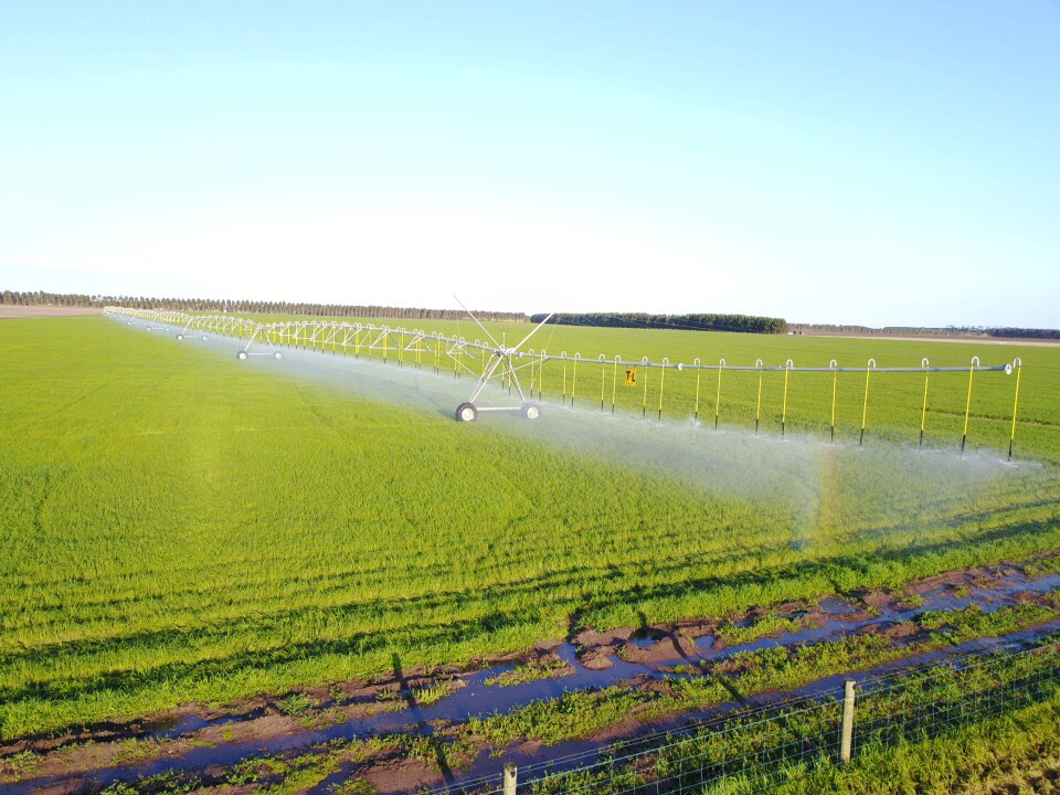 Centreline irrigation services | food | 3 Station St, Maffra VIC 3860, Australia | 0408422204 OR +61 408 422 204