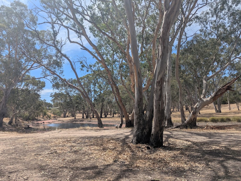 Cavendish River Camping | 9 Clarke St, Cavendish VIC 3314, Australia | Phone: 0499 048 184