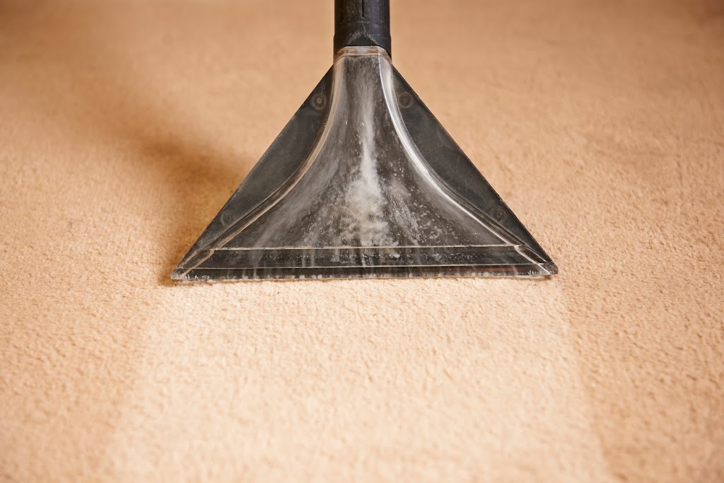Carpet Cleaning Haberfield | laundry | Ashbury NSW 2193, Australia | 0488880265 OR +61 488 880 265