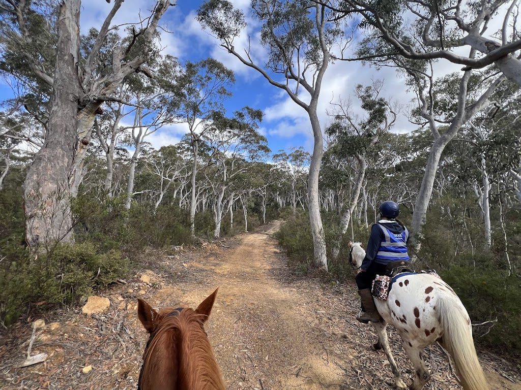 Highlands Equine Trail Adventures ( on your own horse) | 7007 Illawarra Hwy, Moss Vale NSW 2577, Australia | Phone: 0447 224 473