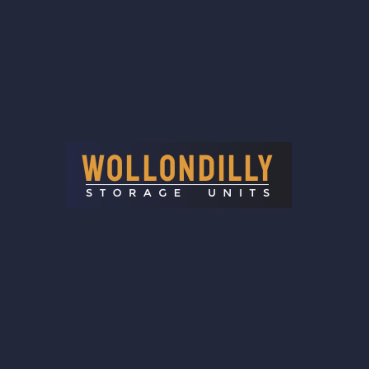 Wollondilly Self Storage | storage | 31 Henry St, Picton NSW 2571, Australia | 0409749713 OR +61 418 253 056