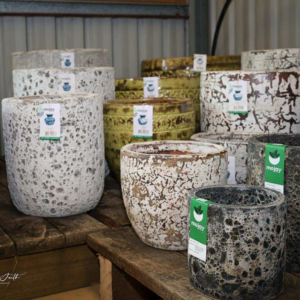 Plantastic Nursery | 522 Wingham Rd, Taree NSW 2430, Australia | Phone: (02) 6552 2308