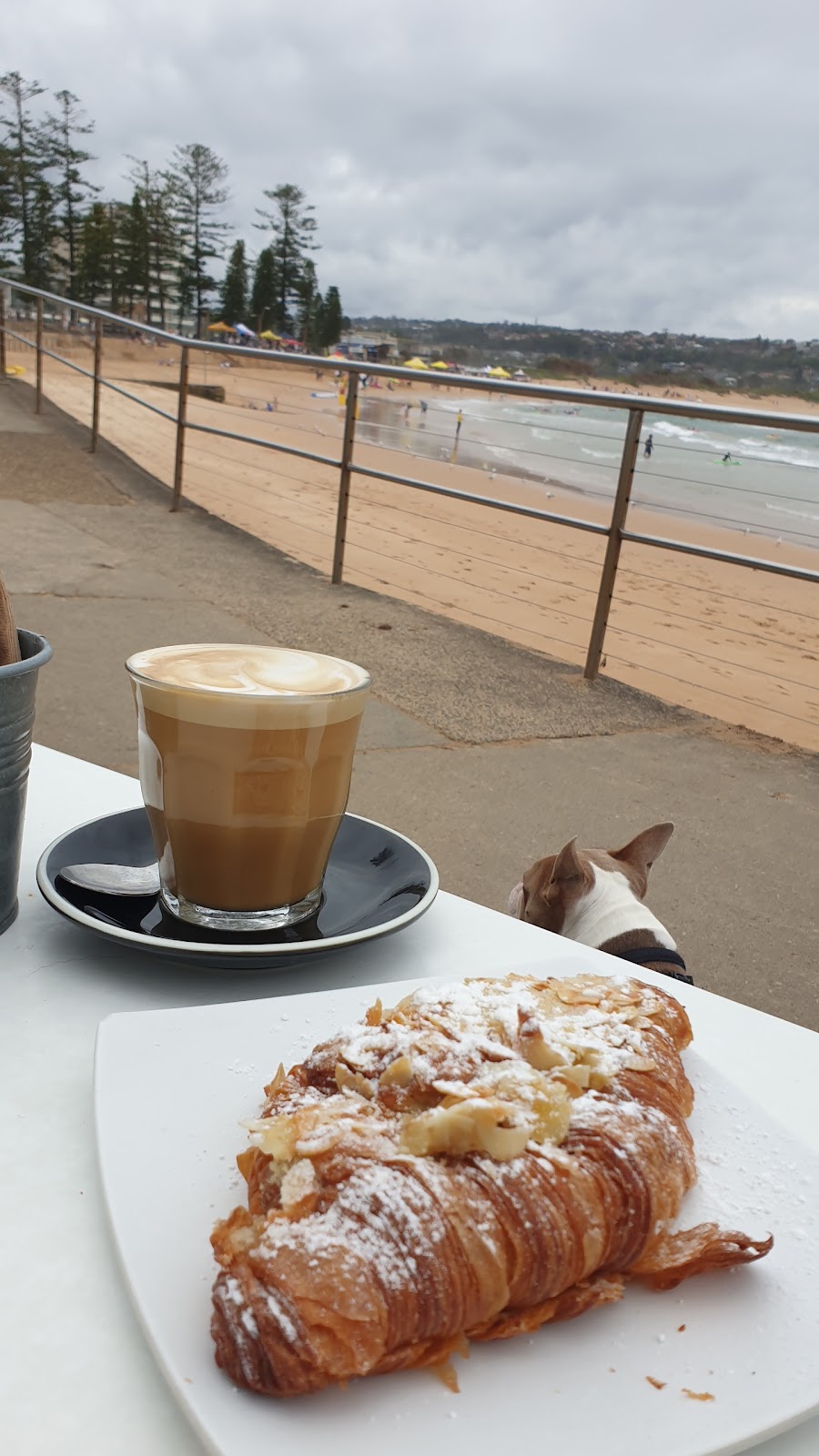 The Beach Shed | cafe | 145 Oaks Ave, Dee Why NSW 2099, Australia | 0299721790 OR +61 2 9972 1790