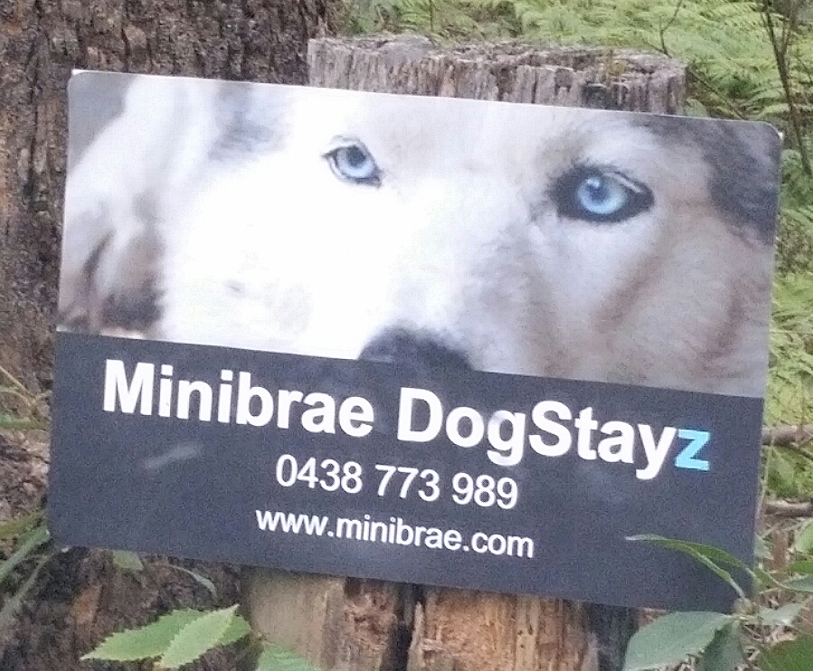 Minibrae DogStayz |  | 626 Newmans Rd, Wootton NSW 2423, Australia | 0438773989 OR +61 438 773 989