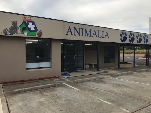 Animalia Vet Clinic | veterinary care | 1 Main N Rd, Evanston SA 5116, Australia | 0885231133 OR +61 8 8523 1133