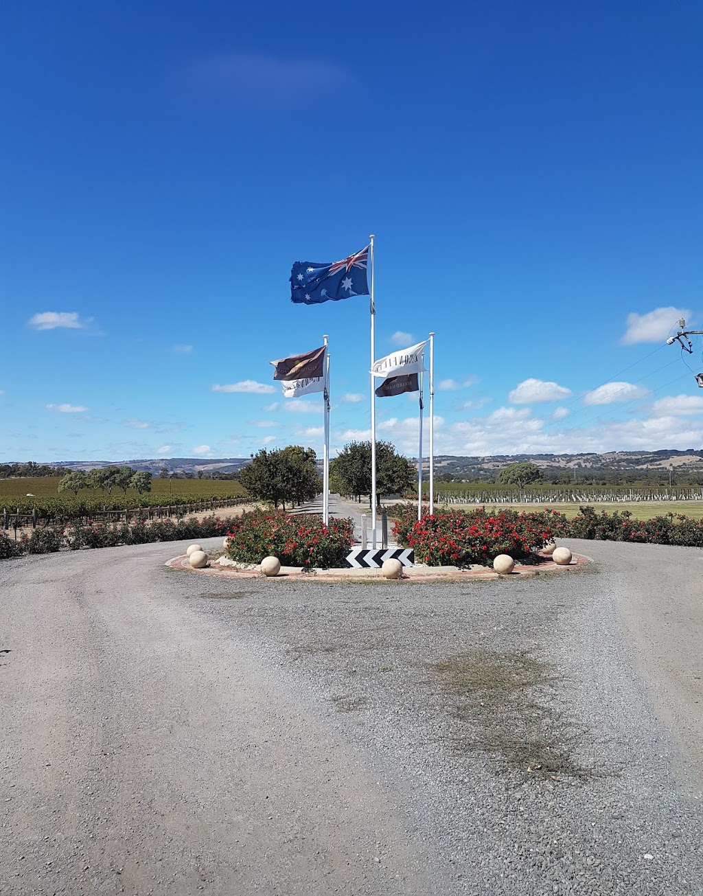 Skydive the Southern Vines | 439 Main Rd, McLaren Vale SA 5171, Australia | Phone: 0455 266 880